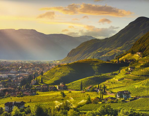 Lais Puzzle Ansicht Der Weinberge In Santa Maddalena Bozen Italien