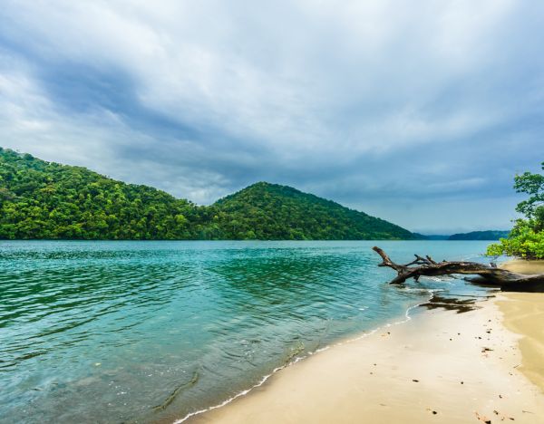 Lais Puzzle Blick Auf Tropischen Strand Im Nationalpark Natural Utria